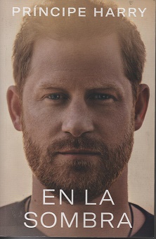 EN LA SOMBRA